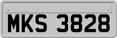 MKS3828