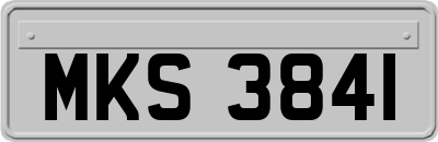 MKS3841