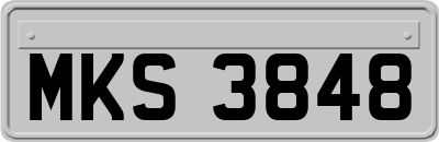 MKS3848
