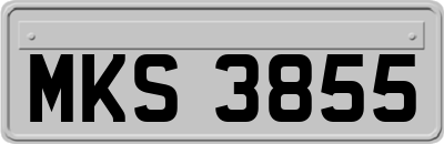 MKS3855