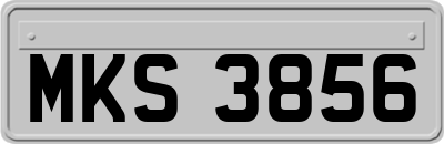 MKS3856