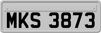 MKS3873