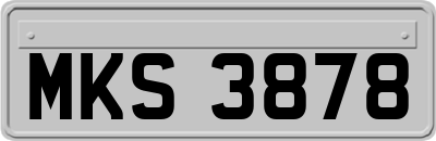 MKS3878