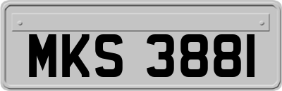 MKS3881