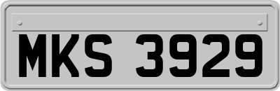 MKS3929