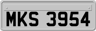 MKS3954
