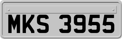 MKS3955