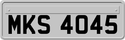 MKS4045