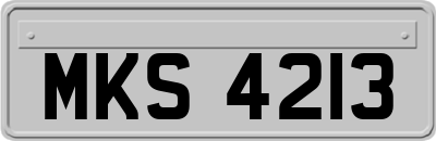 MKS4213
