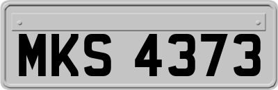 MKS4373