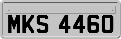 MKS4460