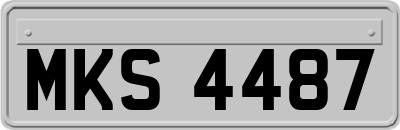MKS4487