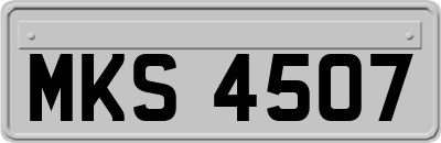 MKS4507