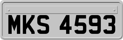 MKS4593