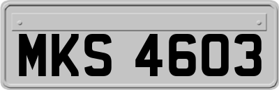MKS4603