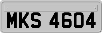 MKS4604