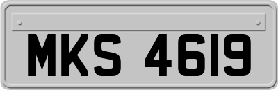 MKS4619