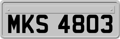 MKS4803