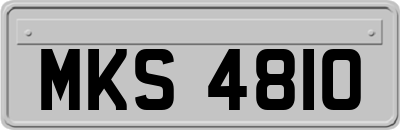 MKS4810