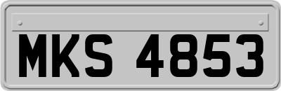 MKS4853