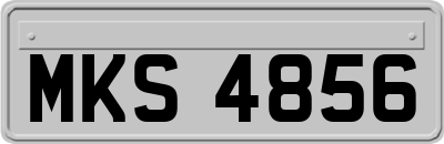 MKS4856
