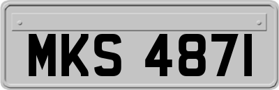 MKS4871