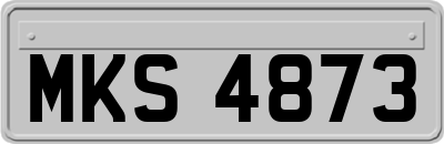 MKS4873