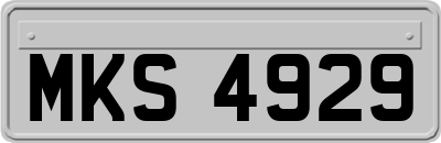 MKS4929