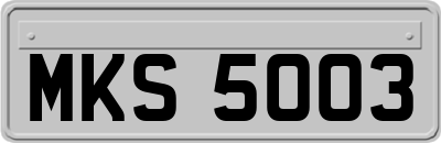 MKS5003