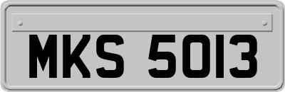 MKS5013