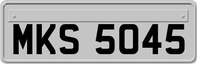 MKS5045