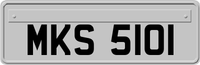 MKS5101