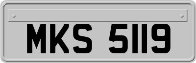 MKS5119