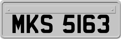 MKS5163
