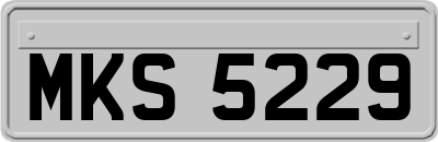 MKS5229