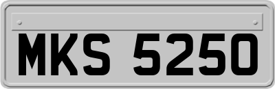 MKS5250