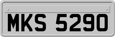 MKS5290