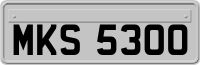 MKS5300