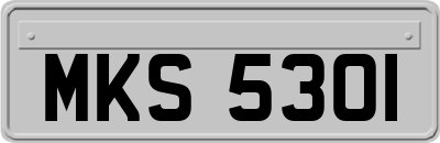 MKS5301