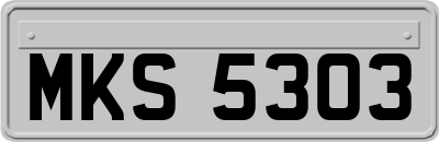 MKS5303