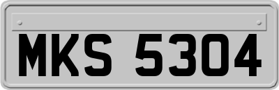 MKS5304