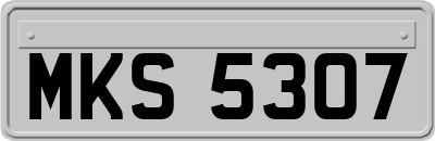 MKS5307