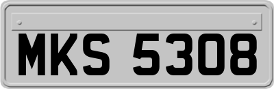 MKS5308