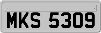 MKS5309