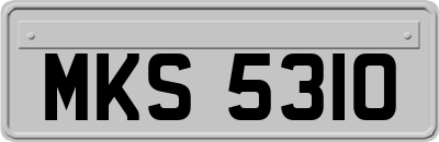 MKS5310