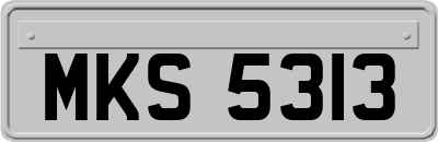 MKS5313