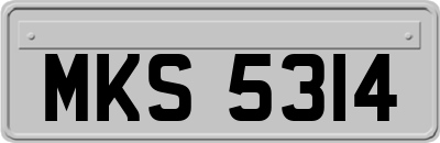 MKS5314