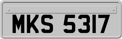MKS5317