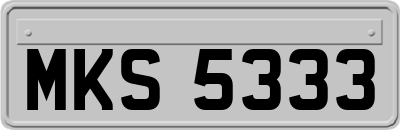 MKS5333