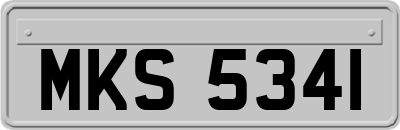MKS5341